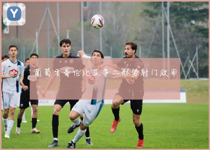 葡萄牙哥伦比亚争二形势射门效率