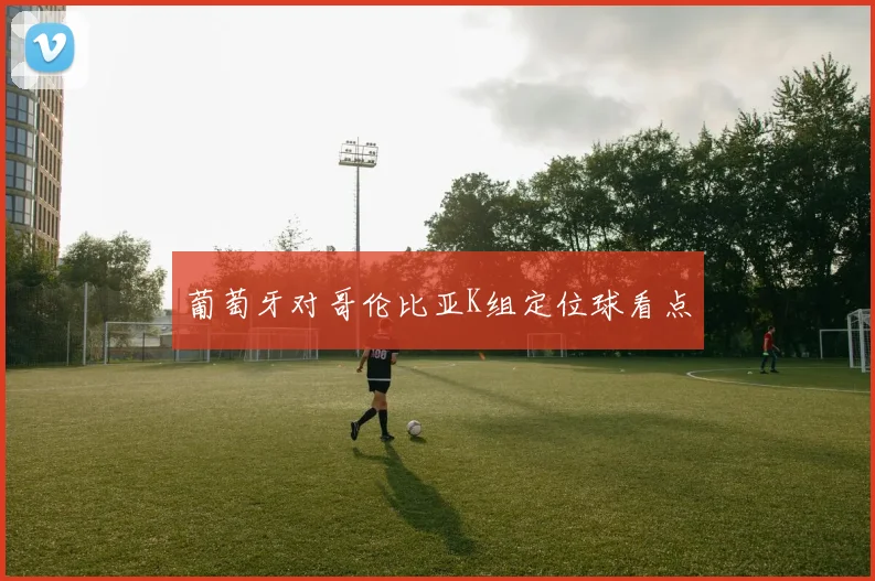 葡萄牙对哥伦比亚K组定位球看点